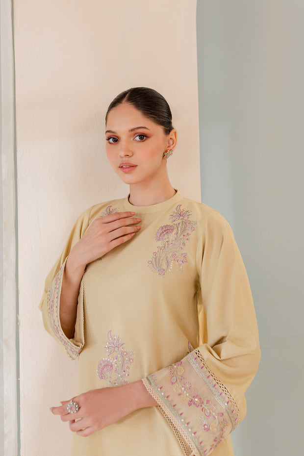 Alaska 2Pc - Embroidered Karandi Dress - BATIK