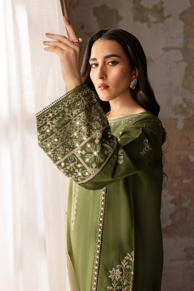 Kermit 3Pc - Embroidered Khaddar Dress