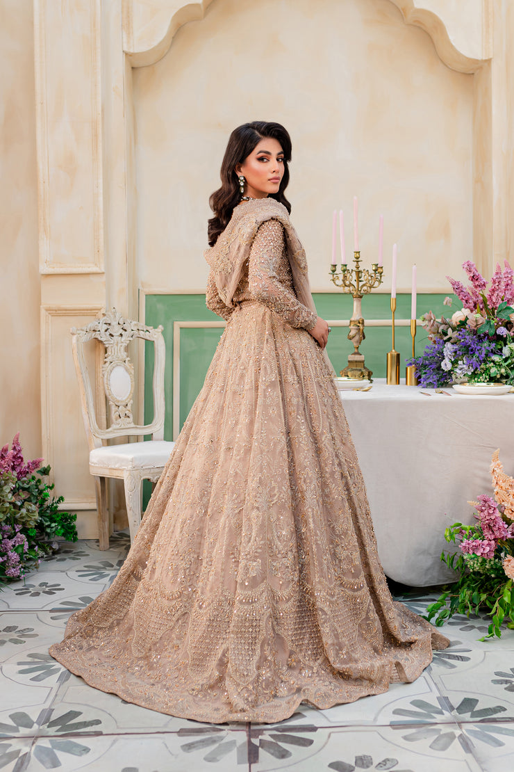 Indian Pakistani Party Dresses Collection Los Angeles California Wedding  Formal Party Wear
