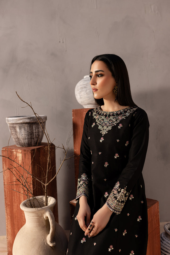 Somber 2Pc - Embroidered Karandi Dress - BATIK