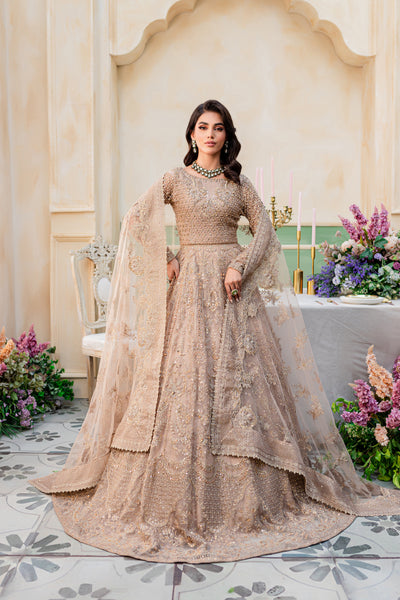 Sister goals | Bridal mehndi dresses, Pakistani wedding outfits, Bridal  dress design