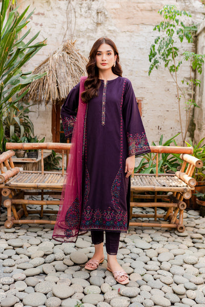 Corsetry 3Pc - Embroidered Karandi Dress - BATIK
