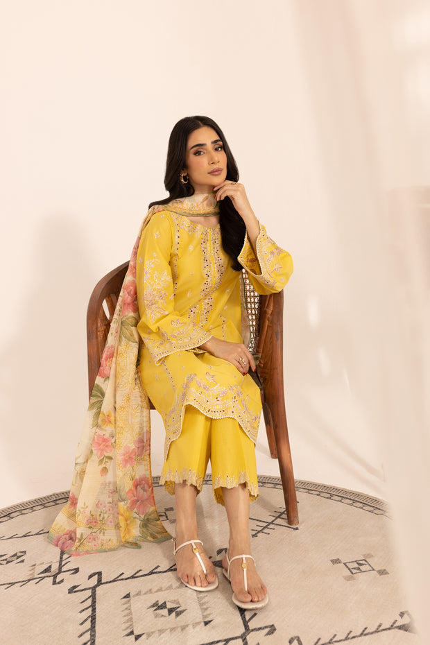 Nain 3Pc - Embroidered Lawn Dress