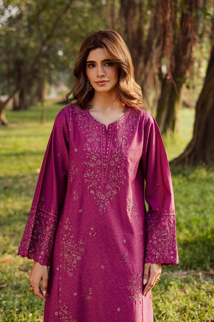 Eyter 2Pc - Embroidered Karandi Dress