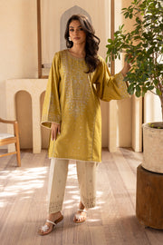 Rhea Lime 2Pc - Embroidered Karandi Dress