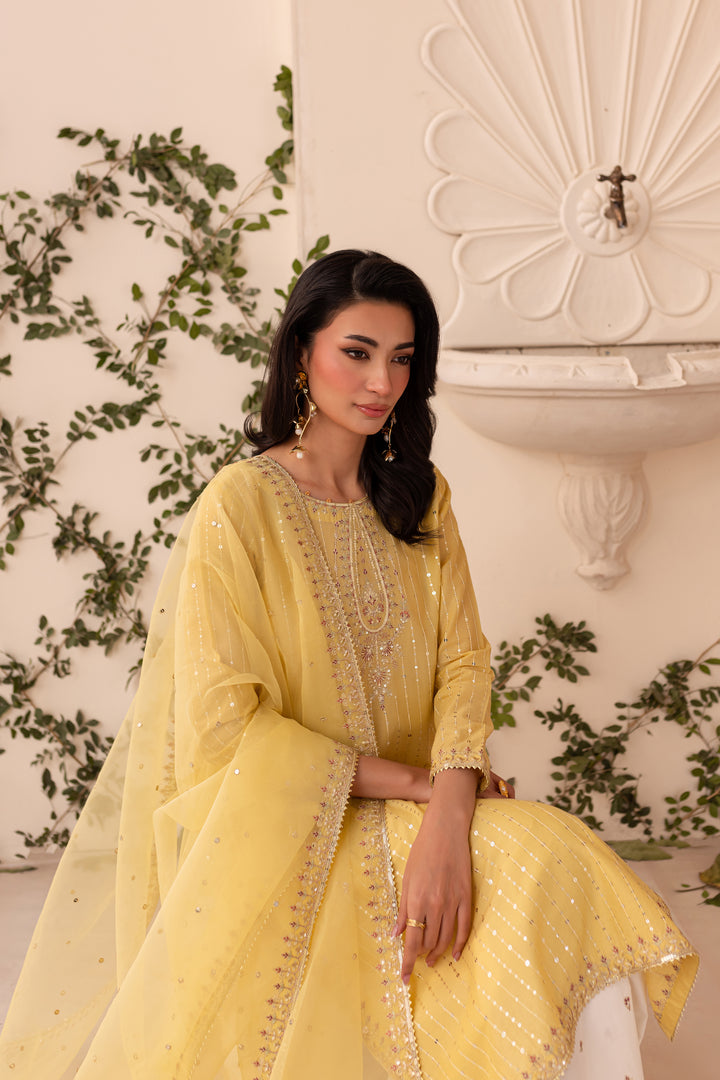 Macaroon 3Pc - Embroidered Sharara Pret