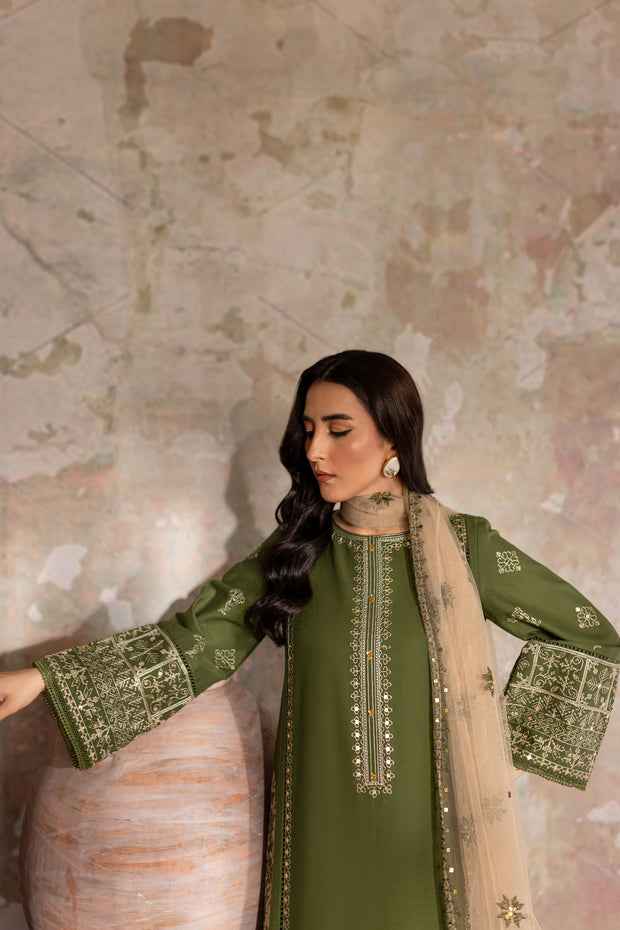 Kermit 3Pc - Embroidered Khaddar Dress