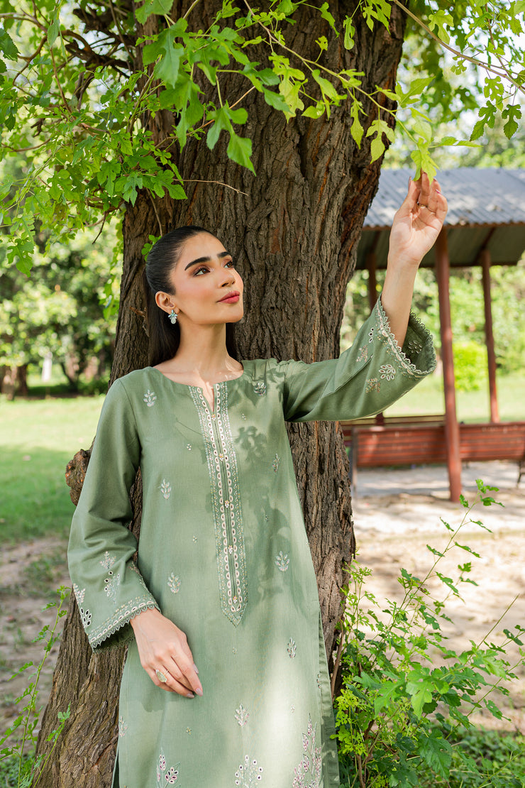 Sencha 2Pc - Embroidered Karandi Dress - BATIK