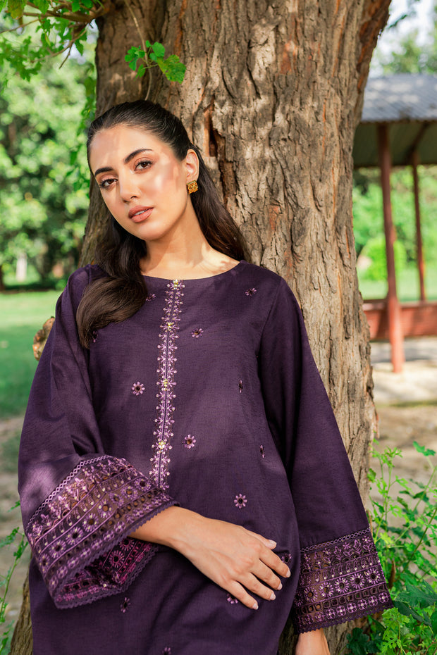 Aeris 2Pc -  Embroidered Karandi Dress - BATIK