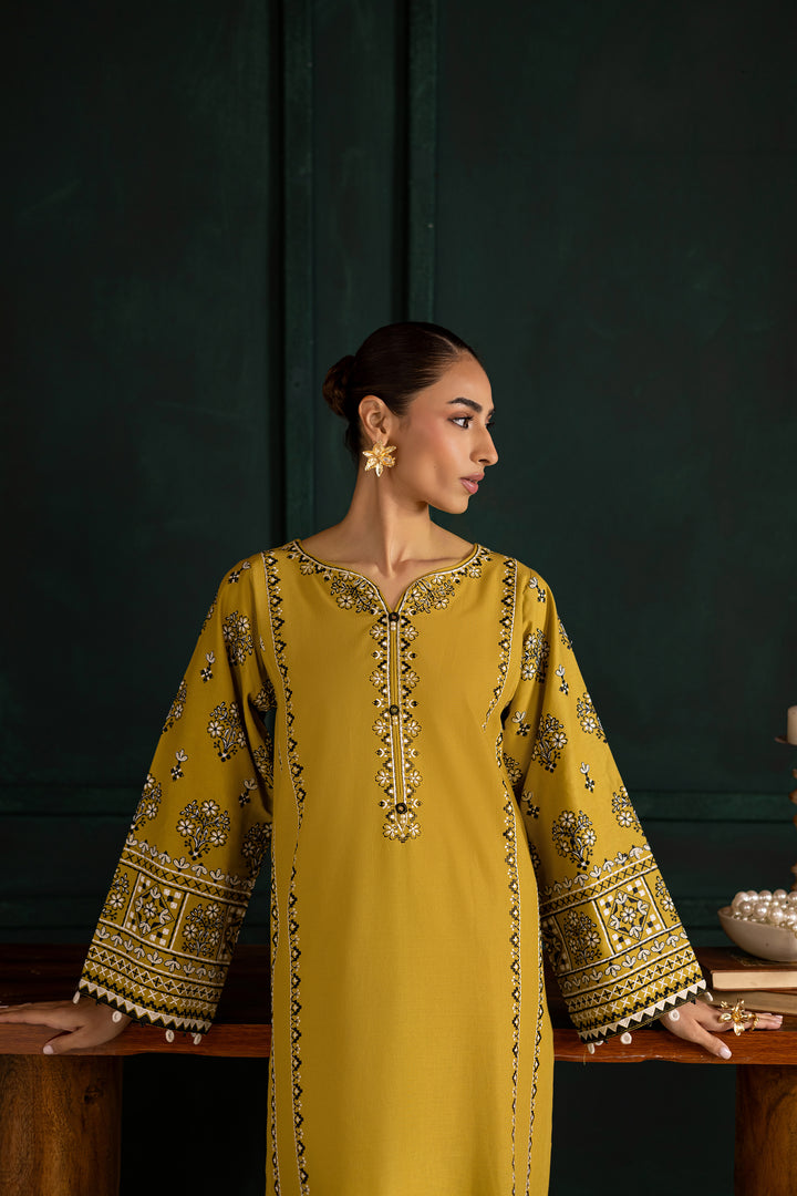 Kantha 2Pc - Embroidered Khaddar Dress