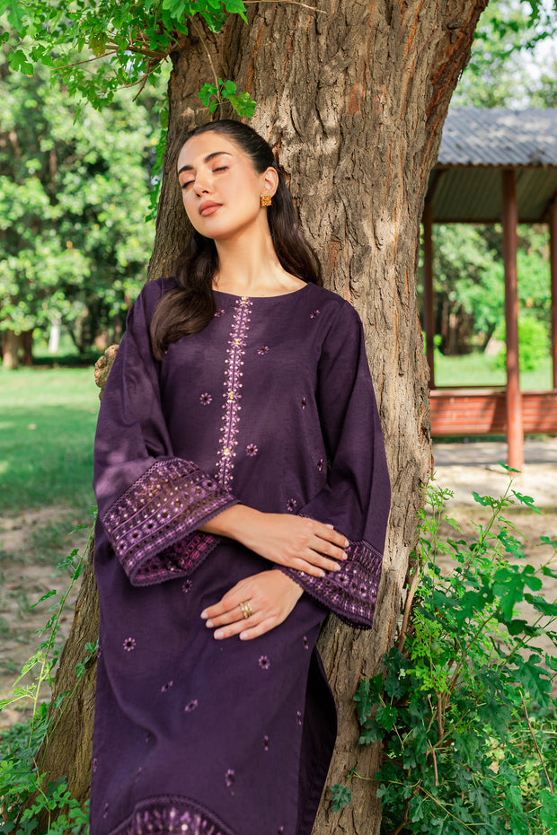 Aeris 2Pc -  Embroidered Karandi Dress - BATIK