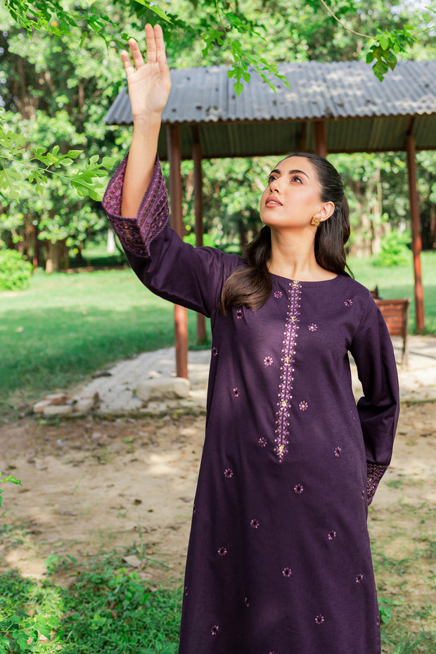 Aeris 2Pc -  Embroidered Karandi Dress - BATIK