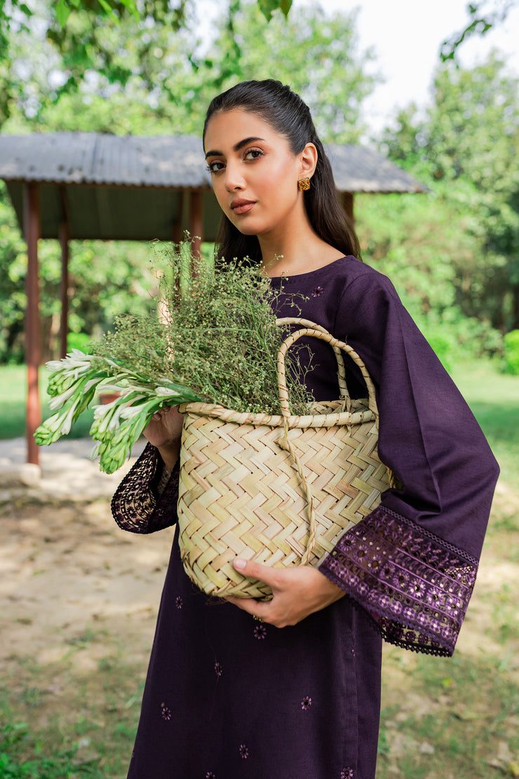 Aeris 2Pc -  Embroidered Karandi Dress - BATIK