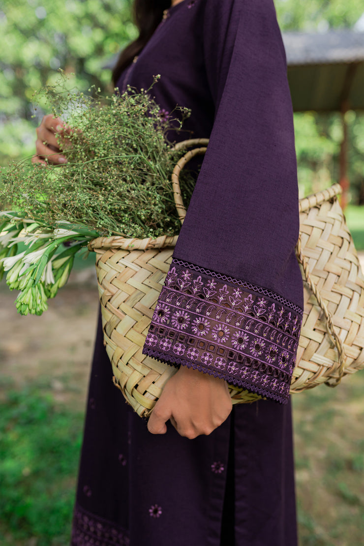 Aeris 2Pc -  Embroidered Karandi Dress - BATIK
