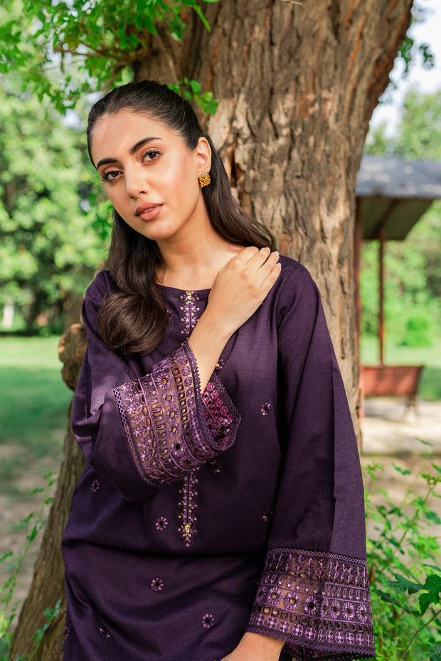Aeris 2Pc -  Embroidered Karandi Dress - BATIK