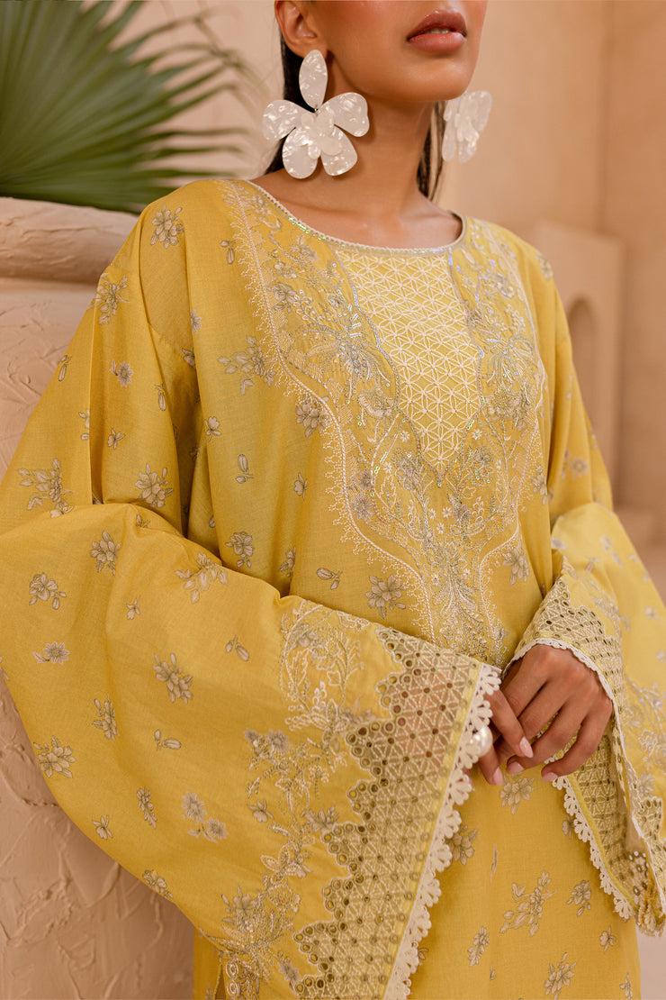 Lime Whisper 2Pc - Embroidered Luxe PRET - BATIK