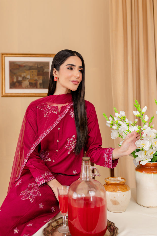 Lilly 3Pc - Embroidered Karandi Dress