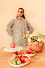 Story 3Pc - Embroidered Lawn Dress