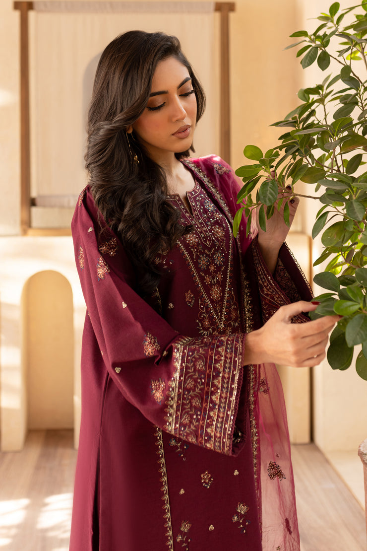 Reed 3Pc - Embroidered Karandi Dress