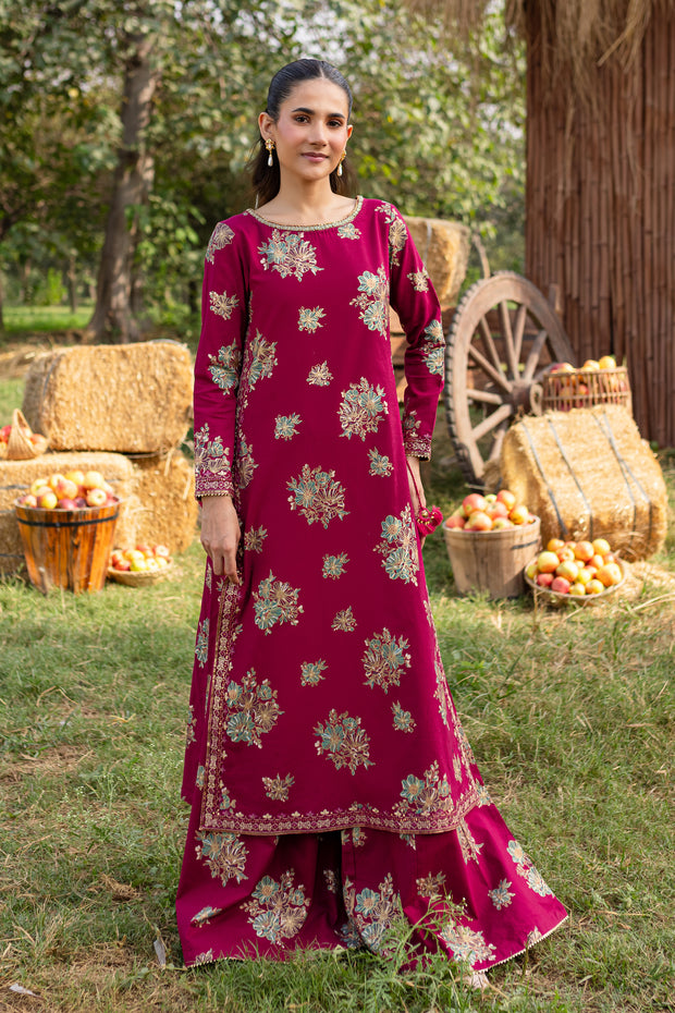 Morpheus 2Pc - Printed Khaddar Dress