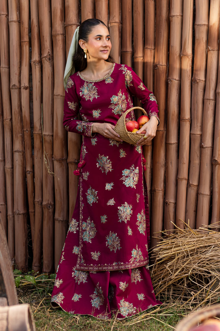 Morpheus 2Pc - Printed Khaddar Dress