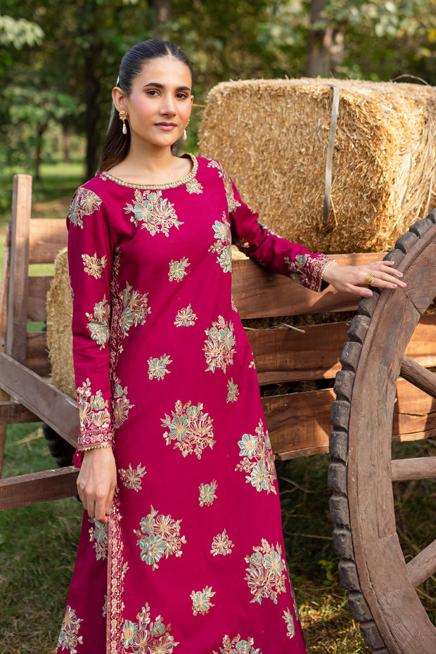 Morpheus 2Pc - Printed Khaddar Dress