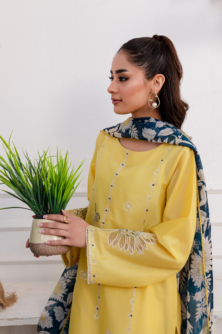 Arela 3pc - Embroidered Lawn Dress - BATIK
