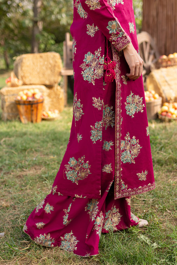 Morpheus 2Pc - Printed Khaddar Dress