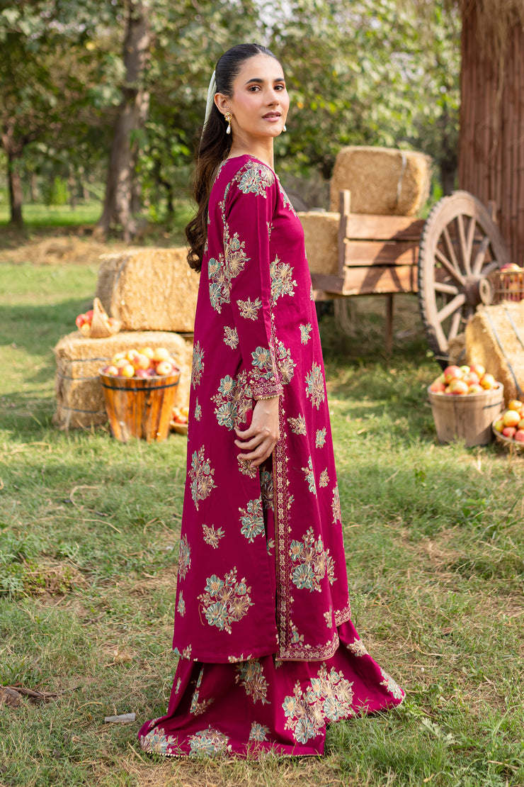 Morpheus 2Pc - Printed Khaddar Dress