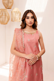 Pink Zerwish 3Pc - Embroidered Luxe PRET - BATIK