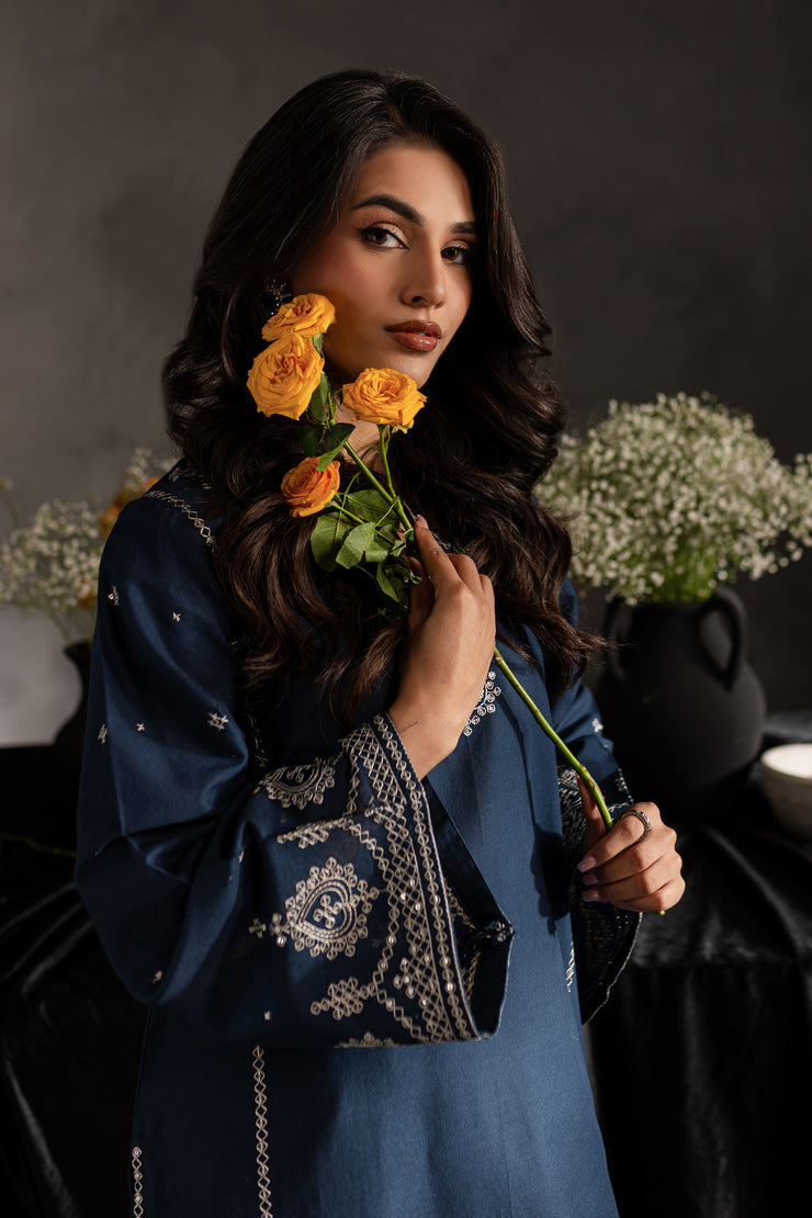 Jiya 2pc - Embroidered Khaddar dress