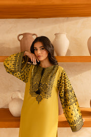 Lime Line 2Pc - Embroidered Lawn Dress