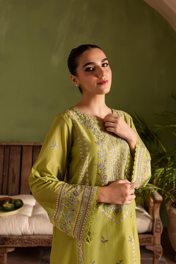 Jimmy 2Pc - Embroidered Lawn Dress - BATIK