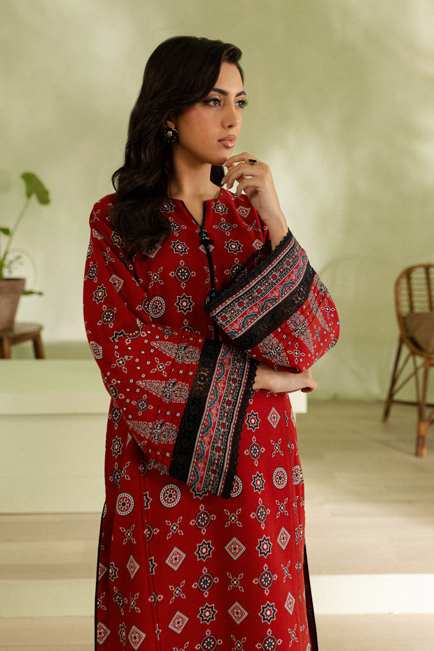 Scarlet 2Pc - Printed Khaddar Dress