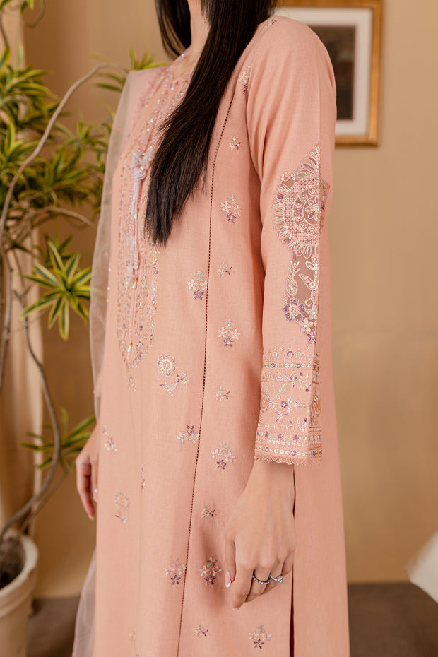 Duek 3Pc - Embroidered Karandi Dress