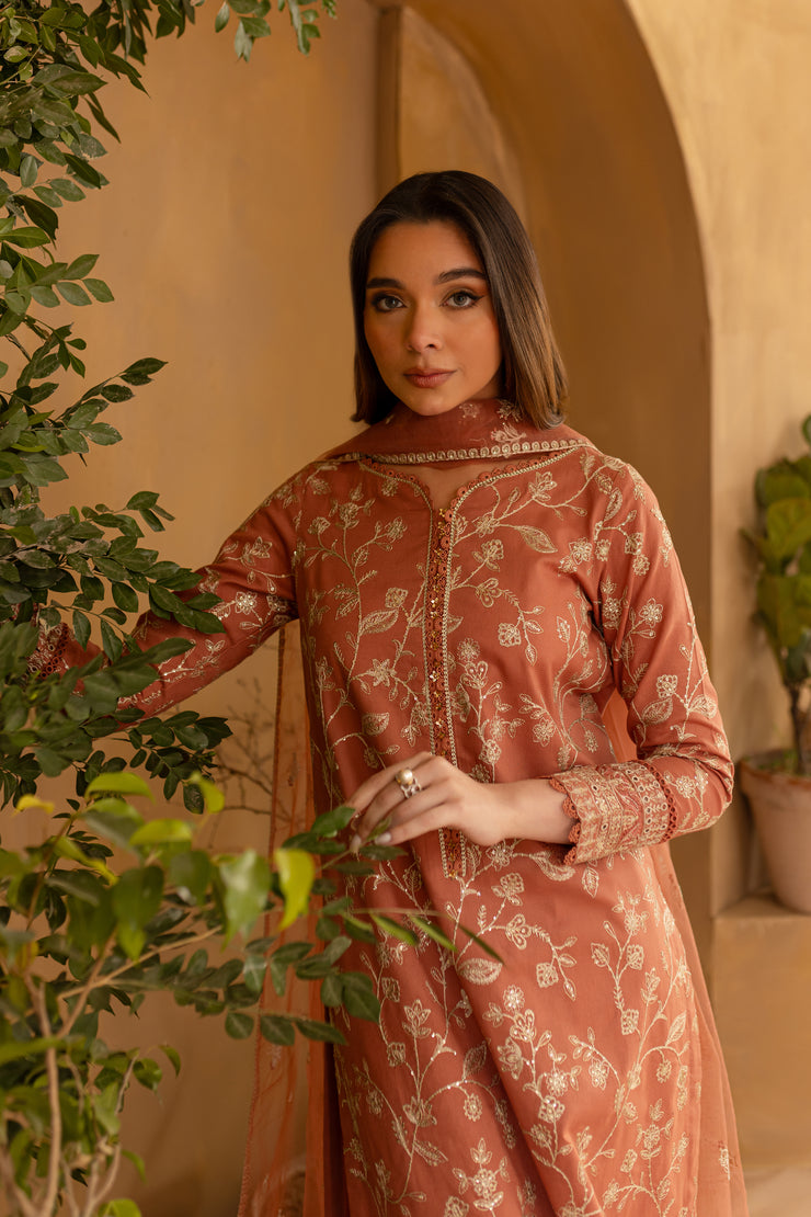 Peach Glam 3Pc - Embroidered Khaddar Dress