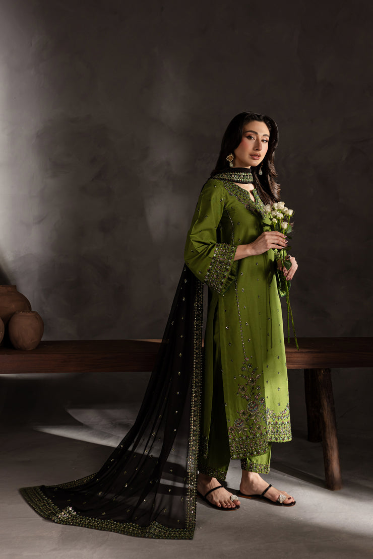 Aleyla 3Pc - Embroidered Khaddar Dress