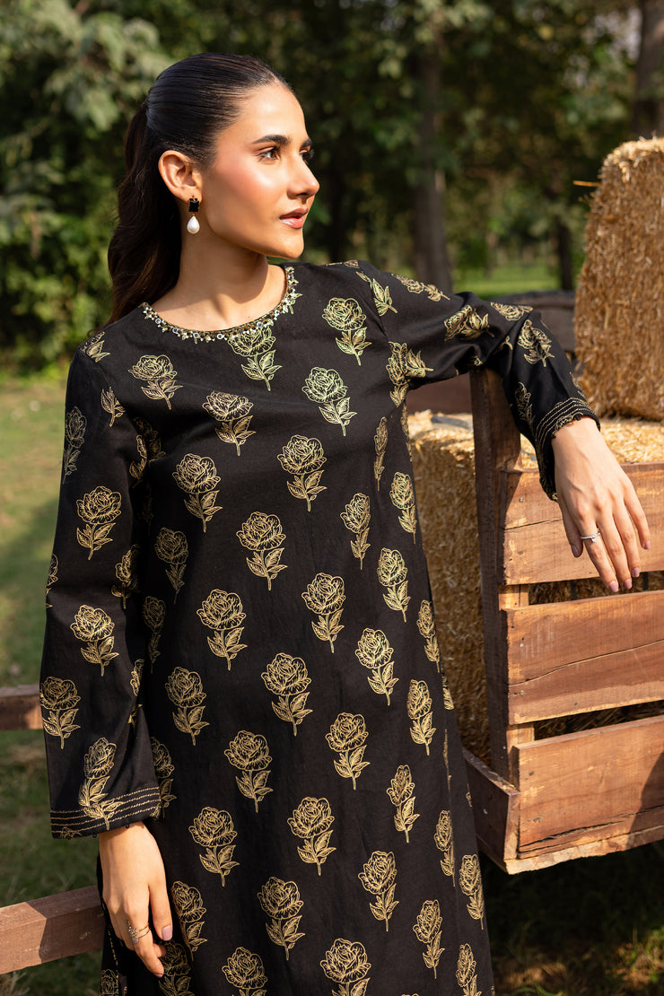 Shalis 2Pc - Printed Khaddar Dress