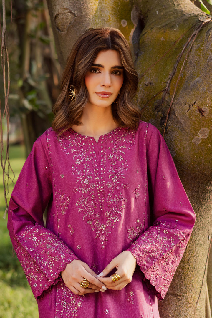 Eyter 2Pc - Embroidered Karandi Dress