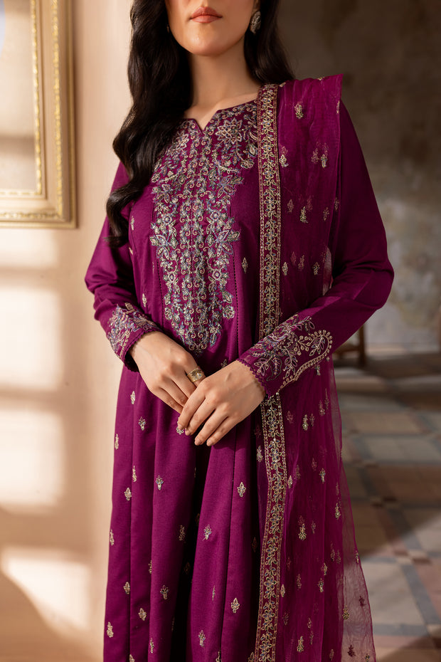 Astro 3Pc - Embroidered Khaddar Dress