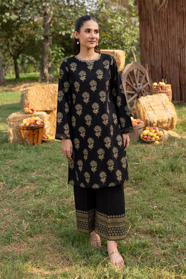 Shalis 2Pc - Printed Khaddar Dress