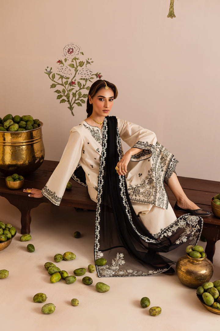Noir 3pc - Festive Eid Pret