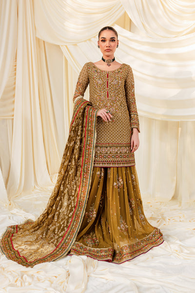 Latest Short Frock with Bridal Lehenga in Velvet #BS70 | Pakistani dress  design, Red bridal dress, Pakistani bridal dresses