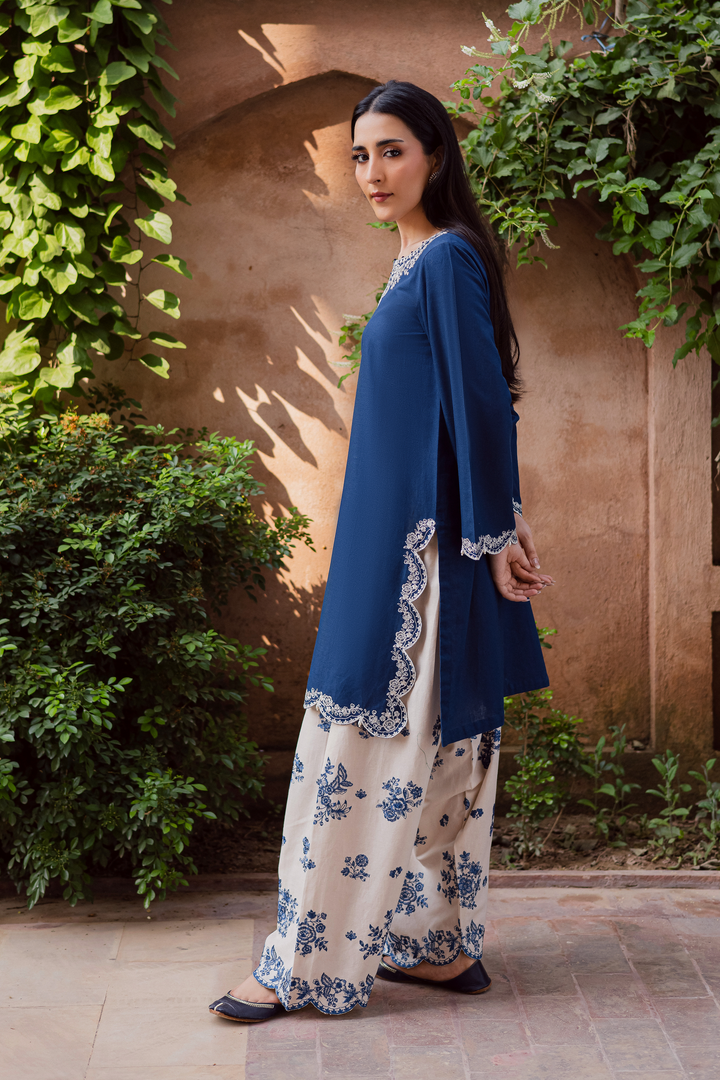 Jeno 2Pc - Embroidered Khaddar Dress