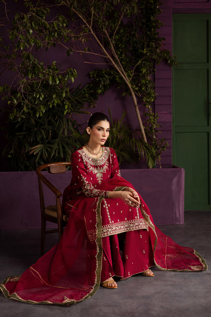Laal 3Pc - Embroidered Solid Dress - BATIK
