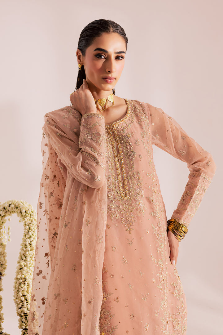Gul Mohar 3Pc - Festive Luxe Pret