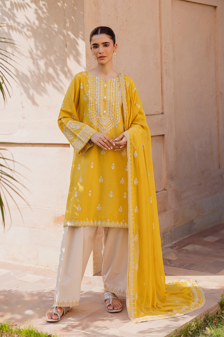 Lambo 3Pc - Embroidered Khaddar Dress