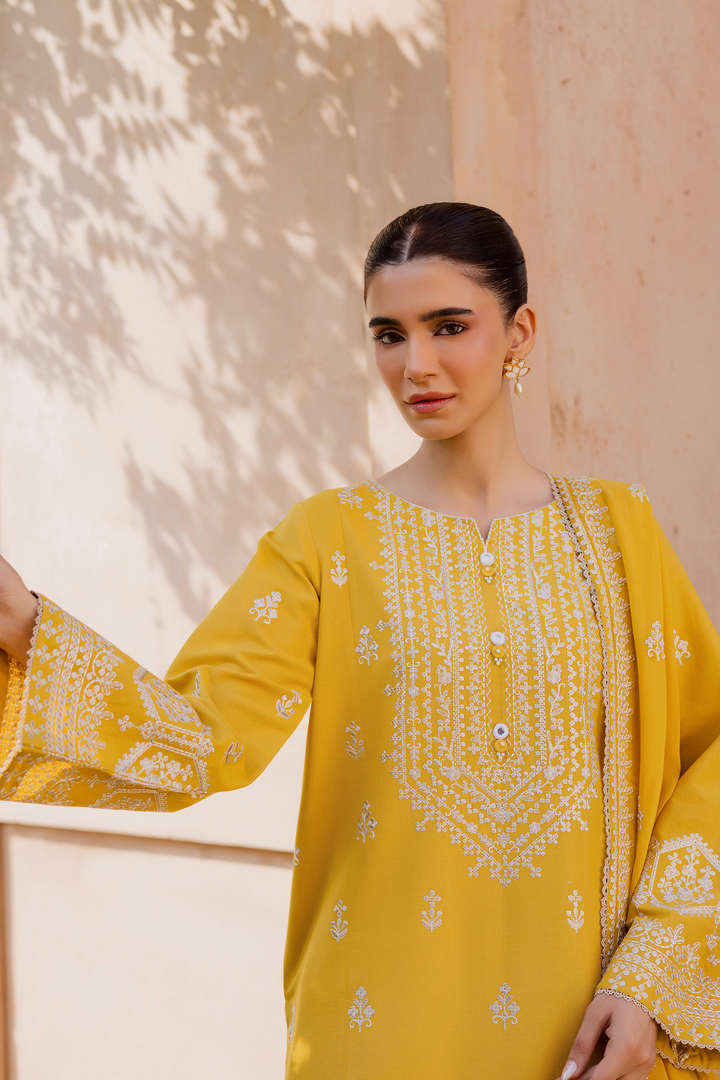 Lambo 3Pc - Embroidered Khaddar Dress