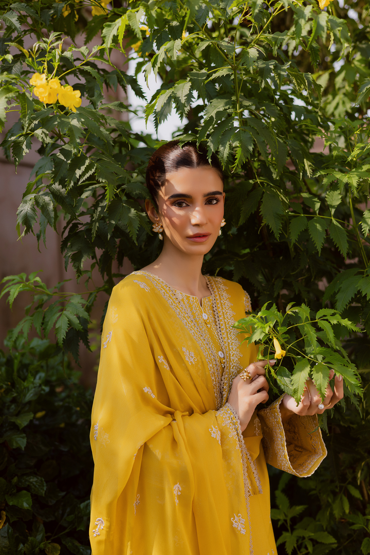 Lambo 3Pc - Embroidered Khaddar Dress