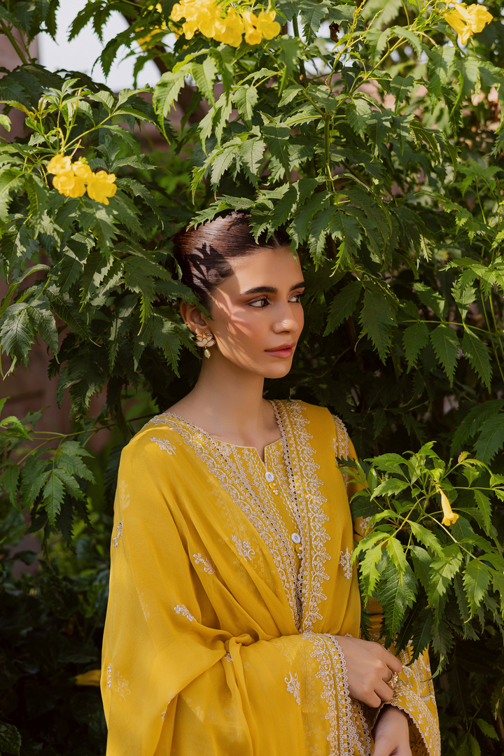 Lambo 3Pc - Embroidered Khaddar Dress
